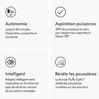 DYSON V12 Detect Slim Absolute