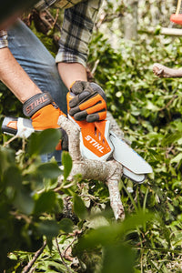 STIHL GTA 26 Pack Scie de Jardin à Batterie