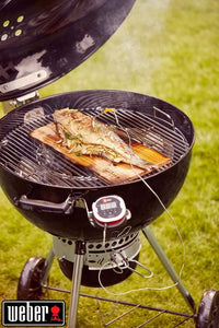 Barbecue WEBER Master-touch premium E-5770